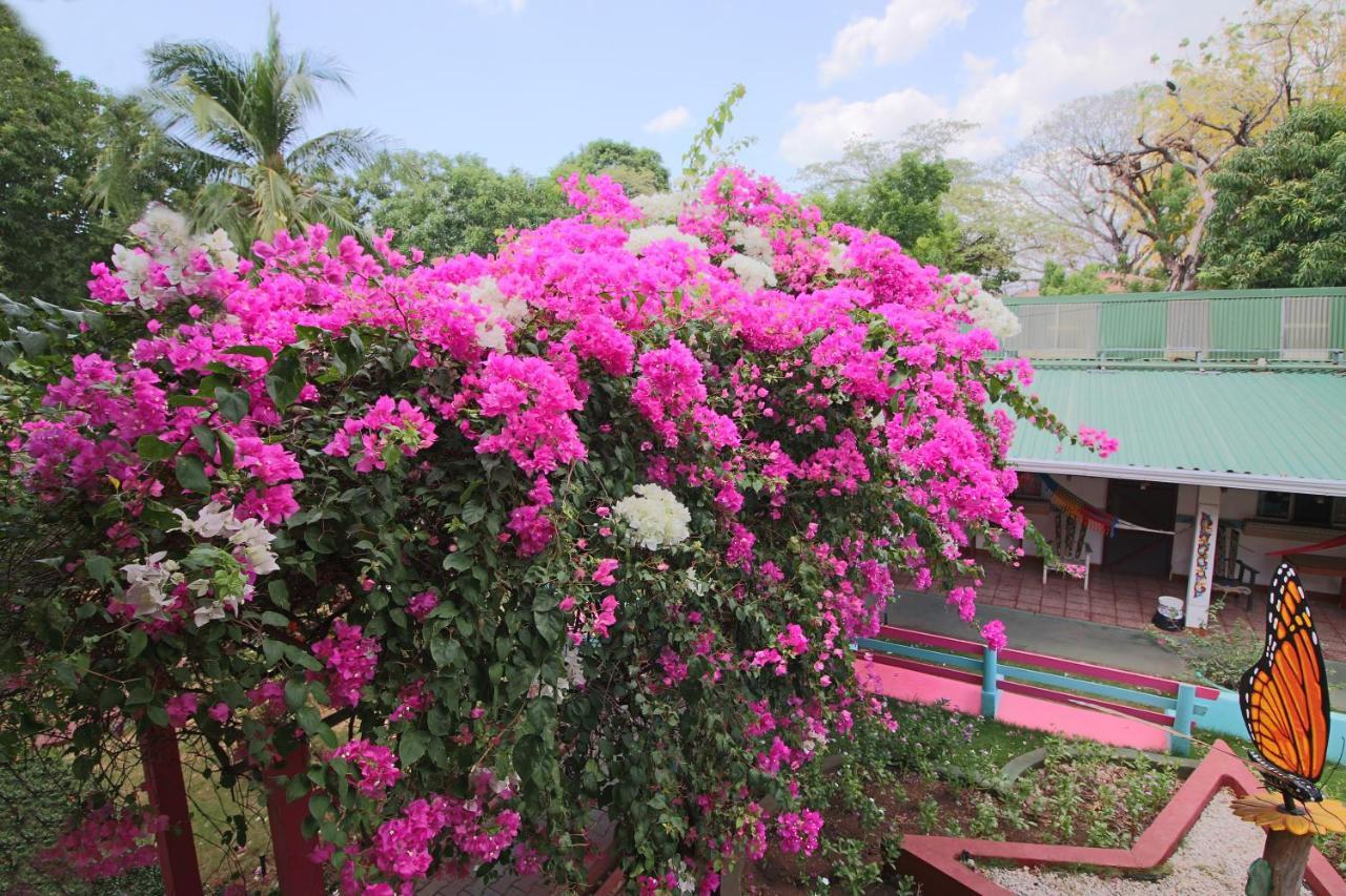 Hotel Marielos Tamarindo Extérieur photo